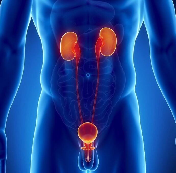 Which chronic diseases can affect male potency